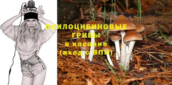 тгк Алексин