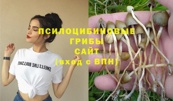 прущий лед Алзамай