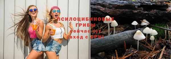 spice Алексеевка