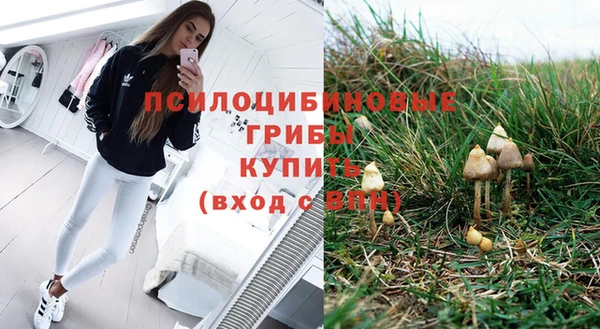 spice Алексеевка